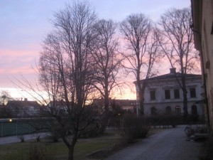 IMG_3926
