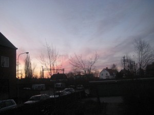 IMG_3956 (2)