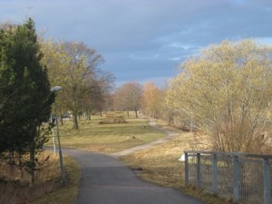 IMG_4885 (3)