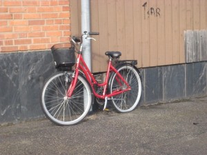 IMG_4905 (3)