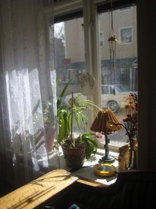 IMG_5008 (2)