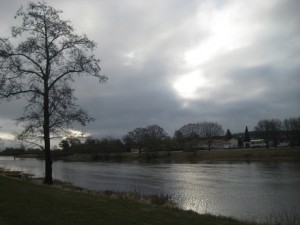 IMG_5111 (3)