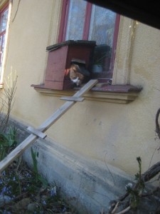 IMG_5393 (3)