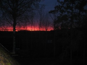 IMG_5483 (2)
