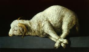 Lamm bundet
