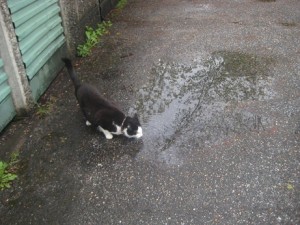 IMG_5856 (2)