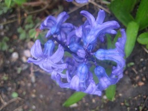 IMG_5859 (2)