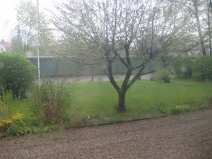 IMG_5927 (2)
