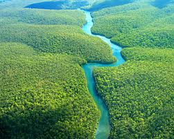 Amazonas regnskog världens största