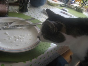IMG_7283 (3)
