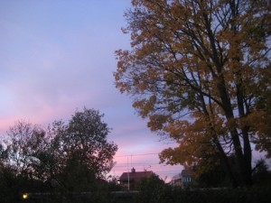 IMG_0279 (2)
