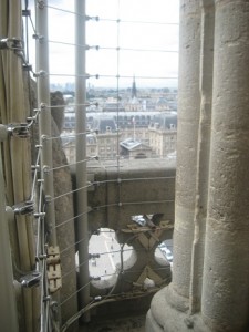 IMG_7541 (3)