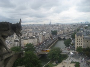 IMG_7552 (3)