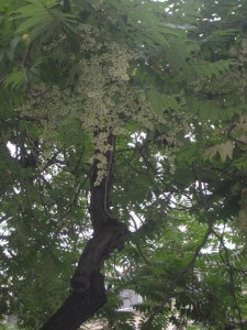 IMG_7634 (3)