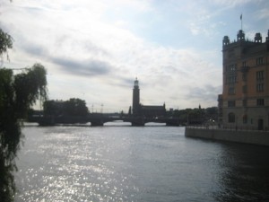 IMG_8676 (3)
