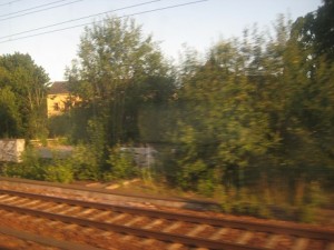 IMG_8701 (3)