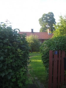 IMG_8702 (3)