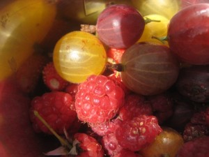 IMG_8712 (3)
