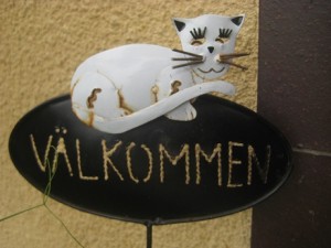IMG_8763 (3)