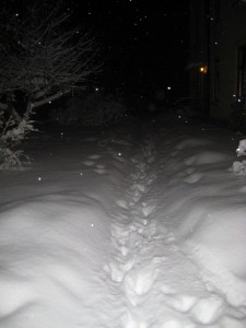 IMG_9904