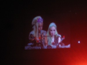 IMG_0272 (3)