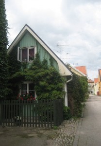 IMG_9494 (3)