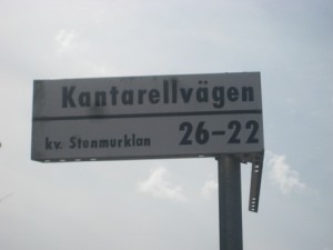 IMG_9682 (3)