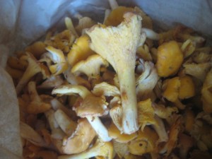 IMG_9735 (3)