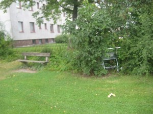 IMG_9792 (3)