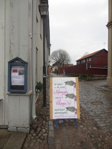 IMG_0596 (3)