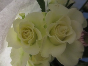 IMG_1012 (5)