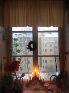 IMG_1329 (4)