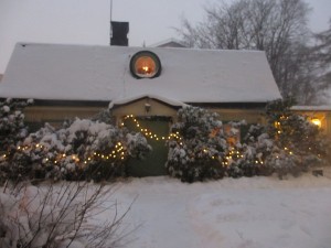 IMG_1338 (3)