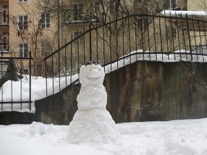 IMG_1396 (3)