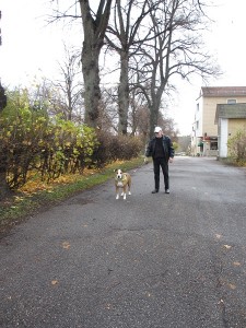 IMG_0331 (4)