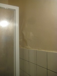 IMG_0688 (3)