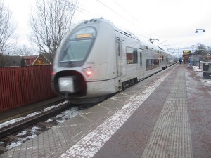 IMG_1798 (3)