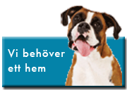 vi-behover-hem