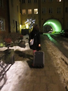 IMG_2661 (4)