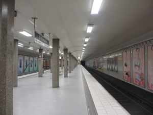 IMG_2664 (3)