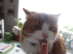 IMG_2812 (3)