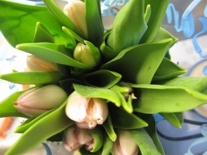 IMG_2835 (4)