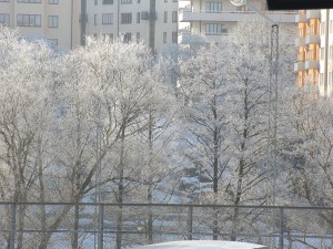 IMG_2870 (5)