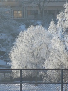 IMG_2874 (4)