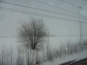 IMG_2885 (5)