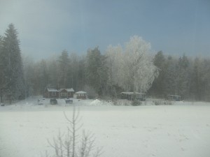 IMG_2890 (5)