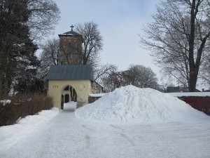 IMG_2899 (4)