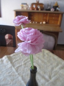 IMG_3424 (3)