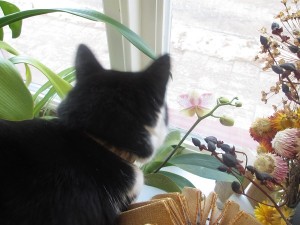 IMG_3467 (3)
