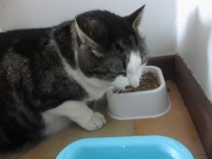 IMG_3560 (4)